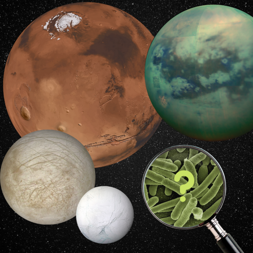 From Microbes to Mars How can we use bacteria in the search for life